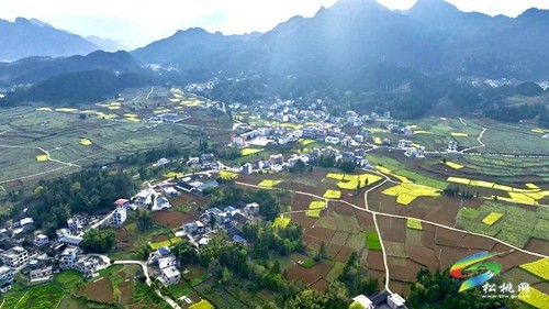 茶香沁人心 研學(xué)促成長(zhǎng)