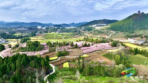 茶香沁人心 研學(xué)促成長(zhǎng)