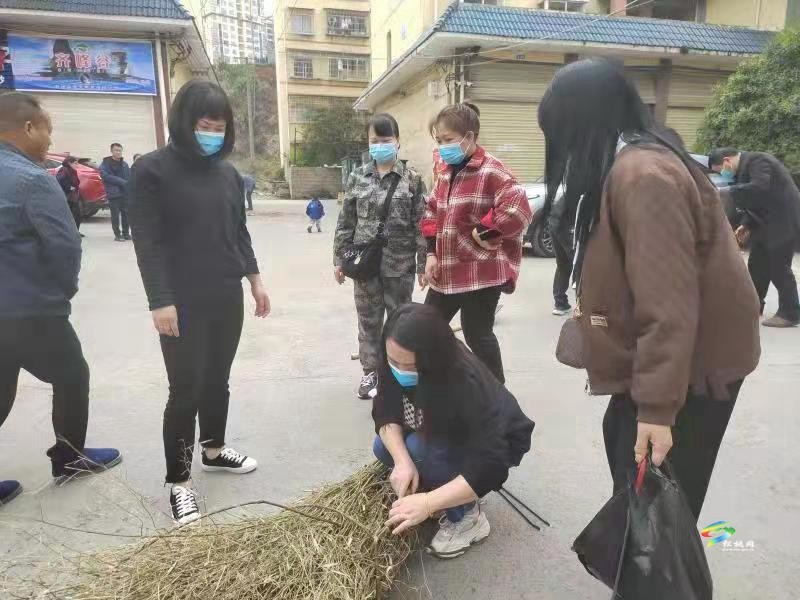 【大美松桃文明行】縣鄉(xiāng)村振興局到麻旦社區(qū)二中廉租房開(kāi)展志愿服務(wù)活動(dòng)