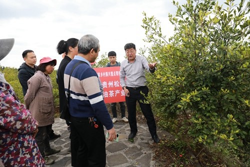 國家科技特派團松桃團油茶產(chǎn)業(yè)組專家教授到松指導(dǎo)培訓(xùn)