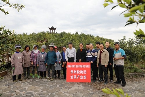 國家科技特派團松桃團油茶產(chǎn)業(yè)組專家教授到松指導(dǎo)培訓(xùn)