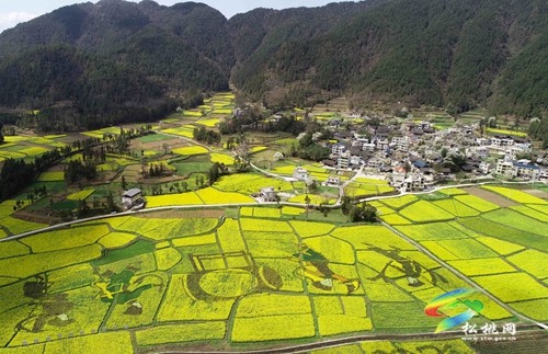 松桃長(zhǎng)坪鄉(xiāng)：油菜花、梨花進(jìn)入最佳賞花期，一起去邂逅春天~
