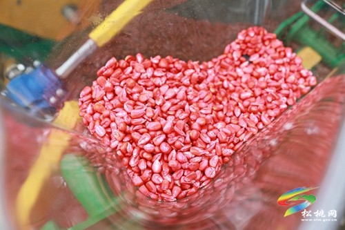 新農(nóng)機(jī)按下“高效鍵”·助農(nóng)實(shí)現(xiàn)“一地雙收”