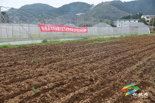 新農(nóng)機(jī)按下“高效鍵”·助農(nóng)實(shí)現(xiàn)“一地雙收”