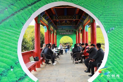 聚智賦能繪藍圖·文旅融合促振興?——松桃舉辦第三十二期VV沙龍活動
