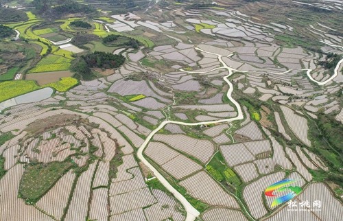 松桃：村美民富產(chǎn)業(yè)興