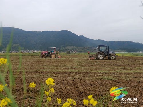 鐵牛歡騰鬧春耕 ——松桃1.8萬(wàn)余臺(tái)農(nóng)機(jī)助力農(nóng)業(yè)現(xiàn)代化