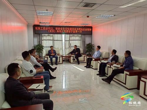 國(guó)電企業(yè)管理(重慶)有限公司來松考察