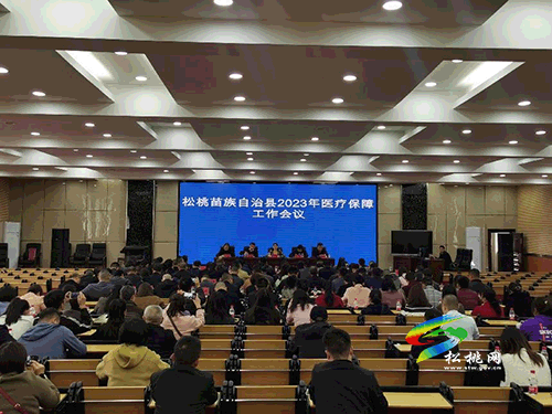 松桃苗族自治縣2023年醫(yī)療保障工作會議召開