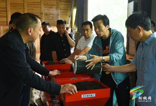 松桃：開展水稻缽苗育秧技術(shù)培訓(xùn)