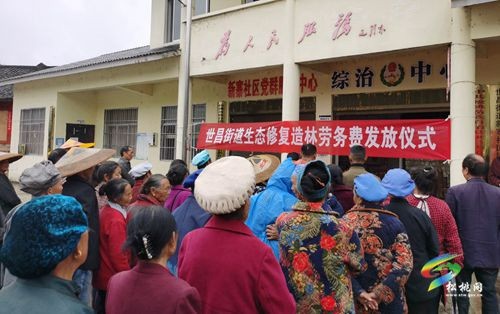 世昌街道舉行生態(tài)造林勞務(wù)費發(fā)放儀式
