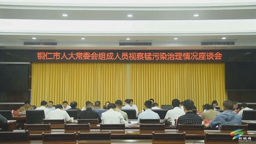 市人大常委會(huì)到我縣來(lái)視察錳污染治理情況
