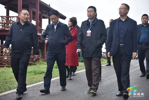 市政協(xié)調(diào)研組來松調(diào)研農(nóng)業(yè)現(xiàn)代化工作