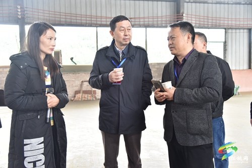 市政協(xié)調(diào)研組來松調(diào)研農(nóng)業(yè)現(xiàn)代化工作
