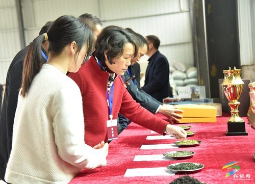 市政協(xié)調(diào)研組來松調(diào)研農(nóng)業(yè)現(xiàn)代化工作