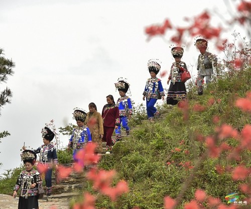 松桃：飛靈山上紅艷艷 朵朵花開(kāi)引客來(lái)