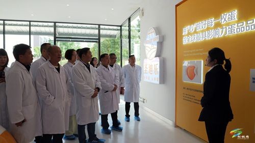 石敏率隊(duì)赴四川鐵騎力士集團(tuán)考察