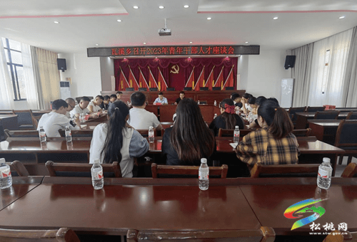 瓦溪鄉(xiāng)召開“五四”青年人才座談會