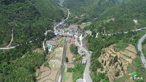 奔跑在鄉(xiāng)村振興路上的帶頭人 ——記瓦溪鄉(xiāng)瓦溪村黨支部書記彭曉敏