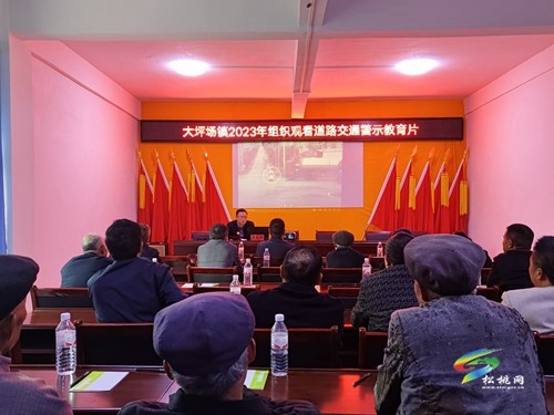 大坪場鎮(zhèn)召開2023年道路交通安全集中教育培訓(xùn)會(huì)