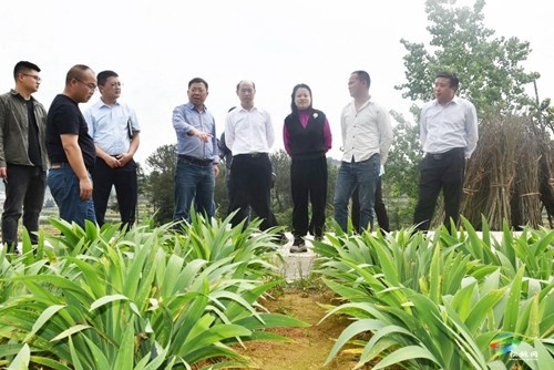 市委“銅心向黨·仁心為民”黨建品牌創(chuàng)建課題調(diào)研組到我縣調(diào)研