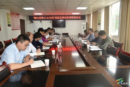市委“銅心向黨·仁心為民”黨建品牌創(chuàng)建課題調(diào)研組到我縣調(diào)研