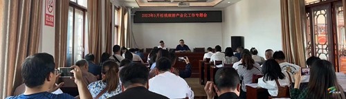 松桃旅游產(chǎn)業(yè)化工作專題會召開