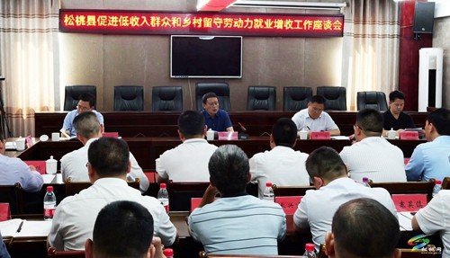 松桃促進低收入群眾和鄉(xiāng)村留守勞動力就業(yè)增收工作座談會召開