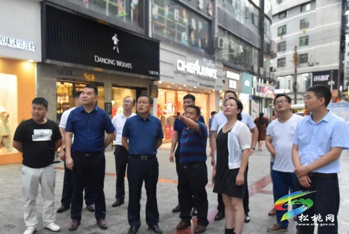 龍群躍現(xiàn)場督導我縣“文明在行動・滿意在松桃”工作