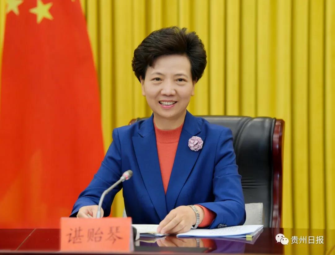諶貽琴向全省干部群眾致新年賀詞