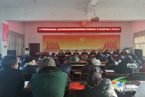 太平營(yíng)街道傳達(dá)學(xué)習(xí)《松桃苗族自治縣城區(qū)燃放煙花爆竹管理?xiàng)l例》實(shí)施啟動(dòng)暨城區(qū)“藍(lán)頂棚”整治工作會(huì)議精神