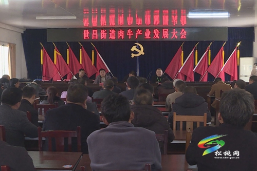 世昌街道：肉牛產(chǎn)業(yè)協(xié)會(huì)成立 群眾呼聲高