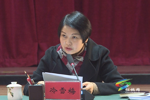 ​松桃縣委2020年度落實(shí)全面從嚴(yán)治黨主體責(zé)任工作情況匯報(bào)會召開