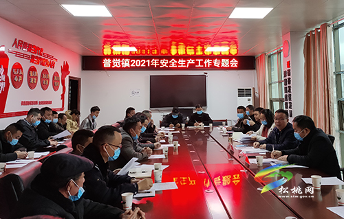 普覺鎮(zhèn)召開2021年安全生產(chǎn)工作專題會