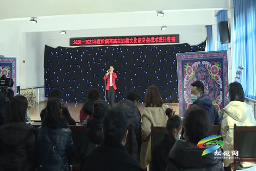 縣文化館開展2020—2021年度專業(yè)技術(shù)提升考核活動(dòng)
