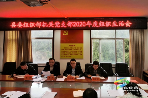 縣委組織部機(jī)關(guān)黨支部2020年度組織生活會(huì)召開