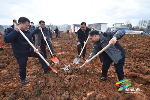 松桃開展2021年全民義務(wù)植樹活動(dòng)