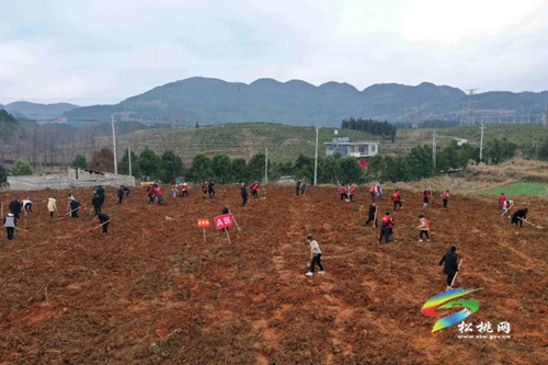 松桃開展2021年全民義務(wù)植樹活動(dòng)