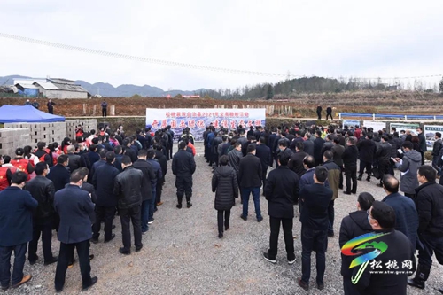 松桃：節(jié)后上班第一天 植樹栽綠譜新篇