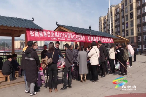 松桃舉行2021年留雁行動招聘會