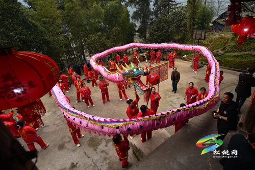 【網(wǎng)絡(luò)中國(guó)節(jié)•元宵】寨英鎮(zhèn)落滿村：非遺滾龍迎元宵