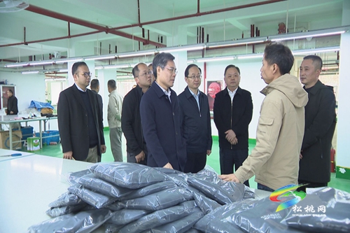 廣東省第五扶貧協(xié)作工作組來松調(diào)研對接東西部協(xié)作工作