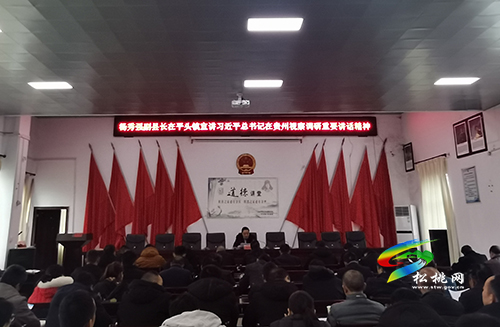 楊秀強到平頭鎮(zhèn)宣講習(xí)近平總書記視察貴州重要講話精神