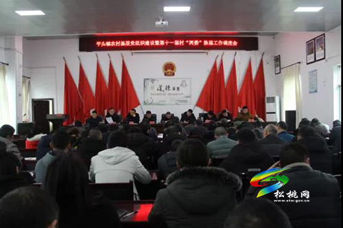 【嚴(yán)肅換屆紀(jì)律】平頭鎮(zhèn)召開2021年重點(diǎn)工作暨第十一屆村“兩委”換屆工作調(diào)度會(huì)