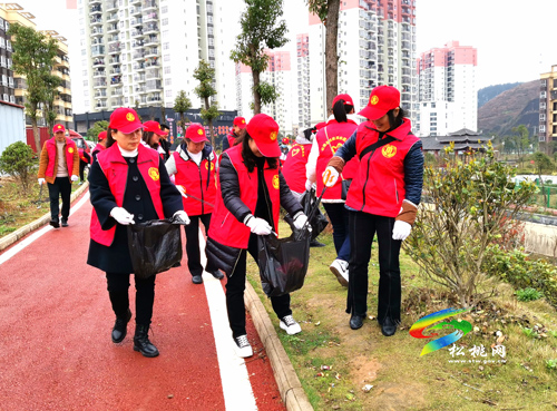 縣民政組織開展“3.5”學(xué)雷鋒志愿服務(wù)活動