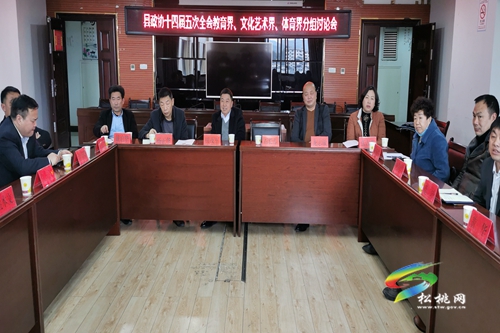政協(xié)委員分組討論 凝心聚力共謀發(fā)展
