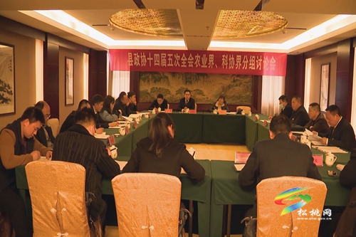 政協(xié)委員分組討論 凝心聚力共謀發(fā)展