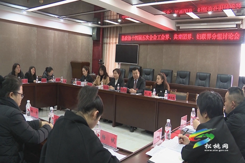 政協(xié)委員分組討論 凝心聚力共謀發(fā)展