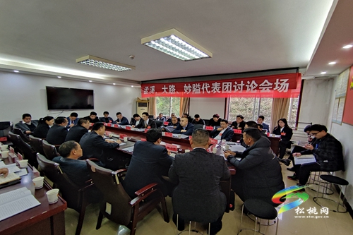 履職盡責(zé)獻(xiàn)良策 凝心聚力謀新篇