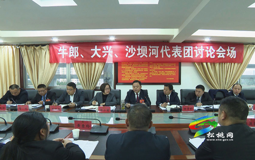 人大代表分團(tuán)審議縣人大常委會(huì)與“兩院”工作報(bào)告